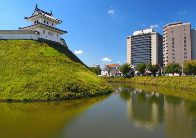 Le chateau, la rivière et des bâtiments de la ville Ustunomiya au Japon.